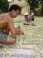Chuong village makes the distinctive Vienamese conical cal hats - the picture shows palm leaves, the raw material, being laid out to dry